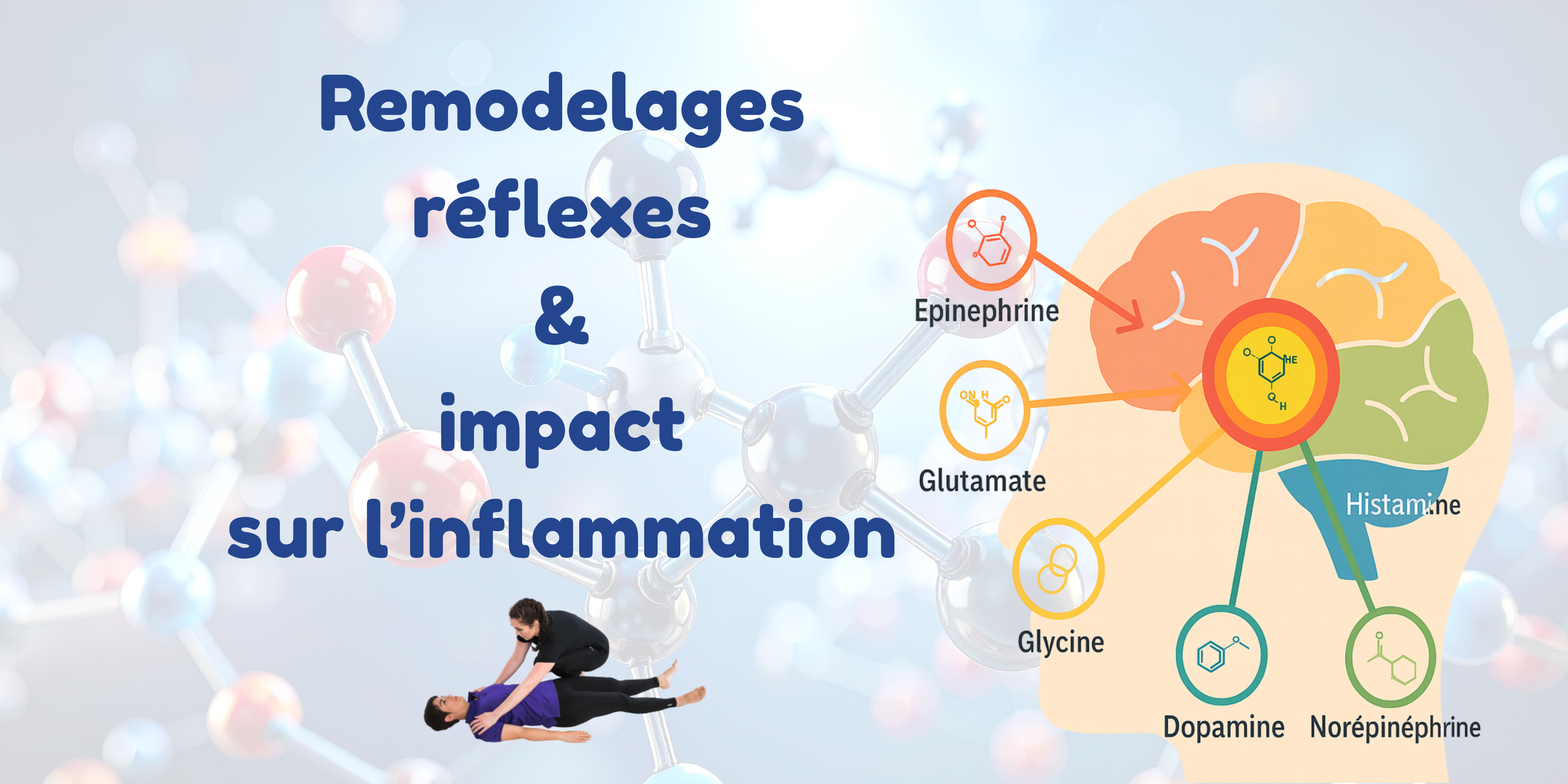 Réflexes archaïques : une clé insoupçonnée contre l’inflammation